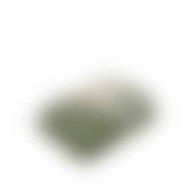 Manta Inlet en verde claro/blanco