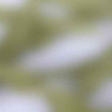 Candela conica attorcigliata individuale verde foglia da 25 cm