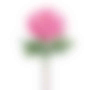 Garten-Pfingstrose rosa
