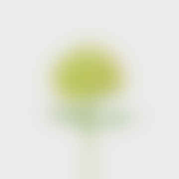 Tête de balai hortensia - 58 cm