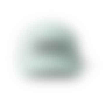 Logotipo de cuero Insignia de camionero Capa de hielo menta