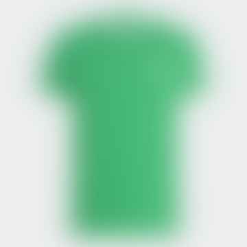 Maglietta classica a strisce verde adicolor 3