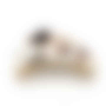 Griffe de poils de chien dormant brun et blanc
