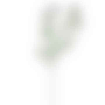 Kosmosspray - Weiß, 62 cm