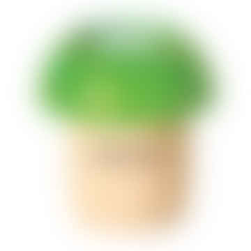 : Green Mushroom Kaleidoscope