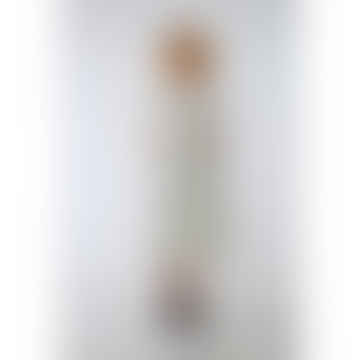 - Transparent Midi Cotton Dress Creme Multicolour Flowers