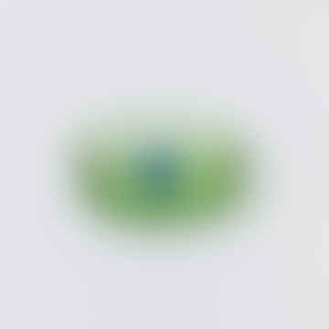 13309256 Petit plat à bulles en vert/bleu