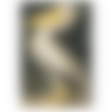 Mittelweißamerikanischer Pelikan Vintage -Stil Leinwand Kunstdruck