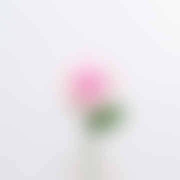 Flor de crochet hecha a mano - rosa de bourbon rosa claro