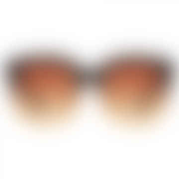 Black/brown Transparent Billy Sunglasses