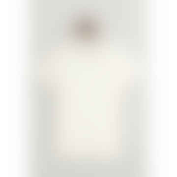 - Framed Tipped Piqué Polo Shirt In Eggshell White 2013014 113