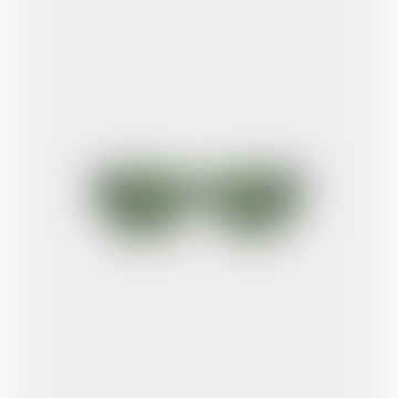 Bror Sunglasses - Dark Green Transparent