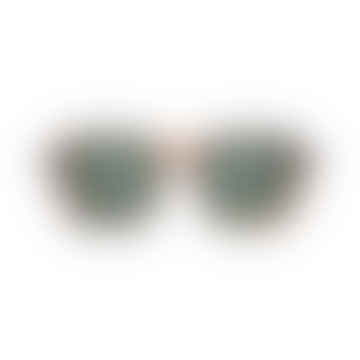 Matty Havana model sunglasses