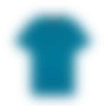 Ts400vog Plain T Shirt In Spring Blue