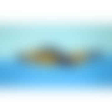 Segnalibri subacqueo subacqueo: blu pallido