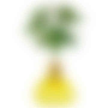 Vasi Aguacate Sunlight Amarillo 003-16