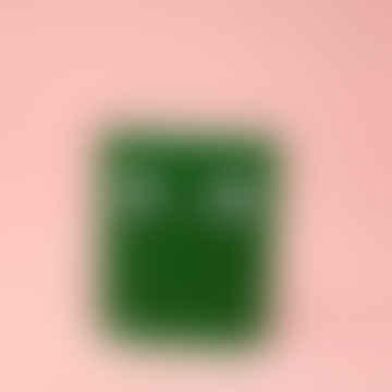 - Notebook in pelle googly eye mini: verde