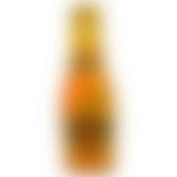 Orangefarbenes Soda -Flaschen -Leinenkissen