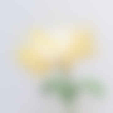 Fleur de crochet faite à la main - reine de la nuit jaune