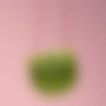 Apple Green Googly Eye Pocket Purse