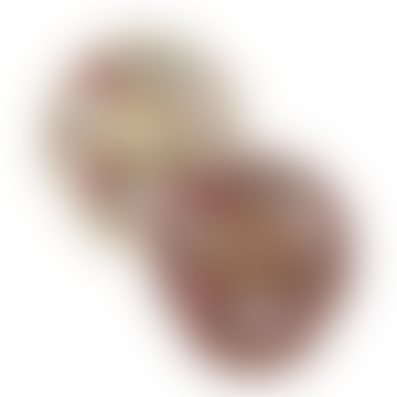 Set Di 2 Ciucci Bibs Symmetrical - Colour Pacifier Liberty- Chamomile/woodchuck Mix