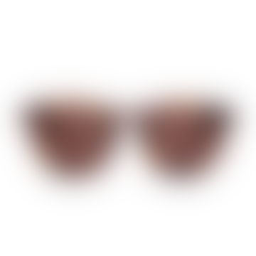 Lunettes de soleil New Depp en tortue Brown W. Brown Lenses