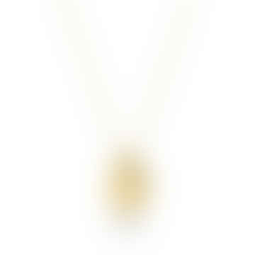 Lulu Necklace In 14k Gold Plating On Stainless Steel