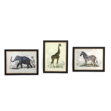 Safari Vintage Framed Print: éléphant, girafe ou zèbre