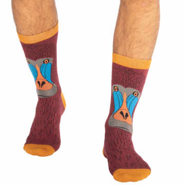 Mr Heron Baboon Socks Oxblood
