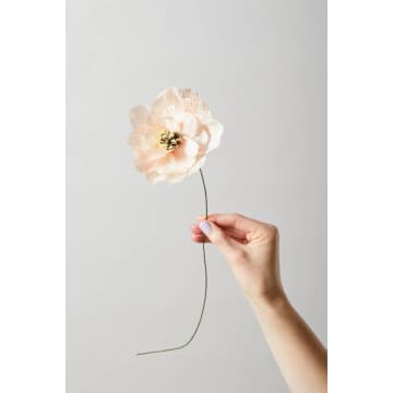 Fleur de papier Poppy Nude 130430N