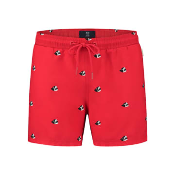 Short jersey for boys - Red Roelof
