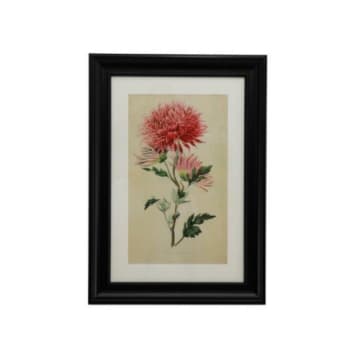 Flower Vintage Framed Art Print