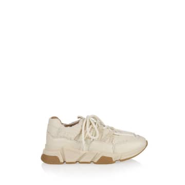 | Sneaker Los Angeles Teddy - Off White