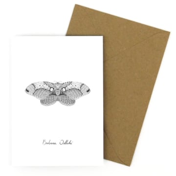 Owl Moth Card
