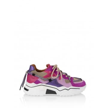 | Sneaker Jupiter - Purple & Pink