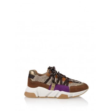 | Sneaker Los Angeles Teddy - Purple & Brown