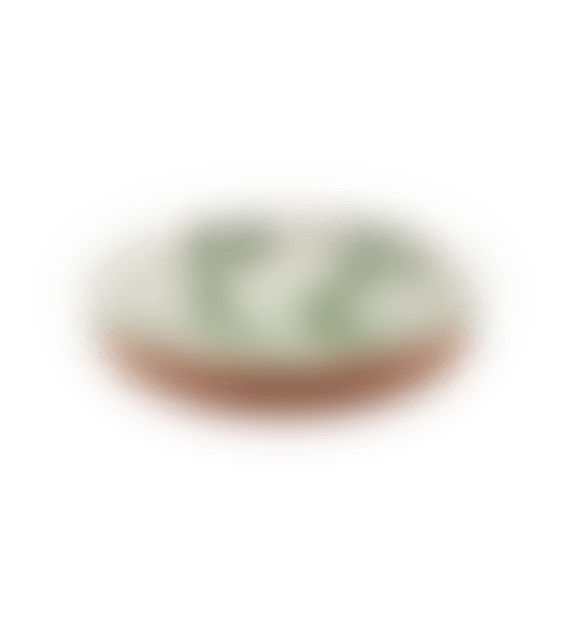 Medium Terracotta Splatter Ware Bowl