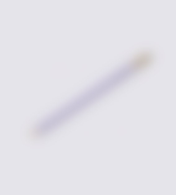 Tail de stylo violet brume