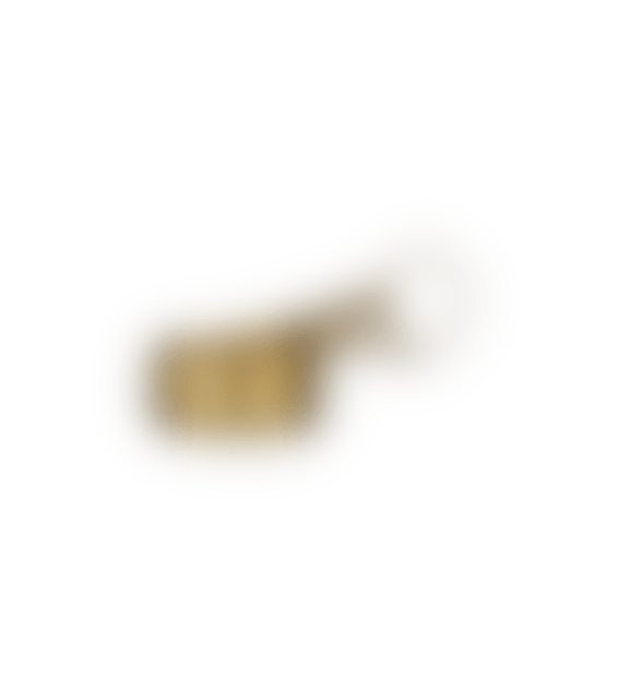 Mähne -Messbecher in gebürstetem Gold von