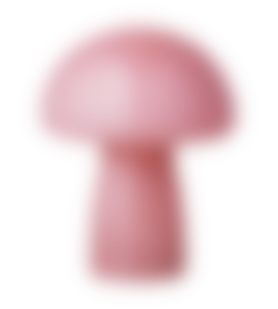 Edit & Oak Bubble Gum Mushroom Lamp