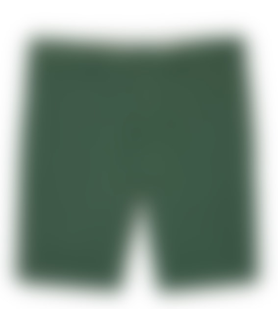 Lacoste Lacoste Slim Fit Stretch Cotton Bermuda Shorts Sinople Green