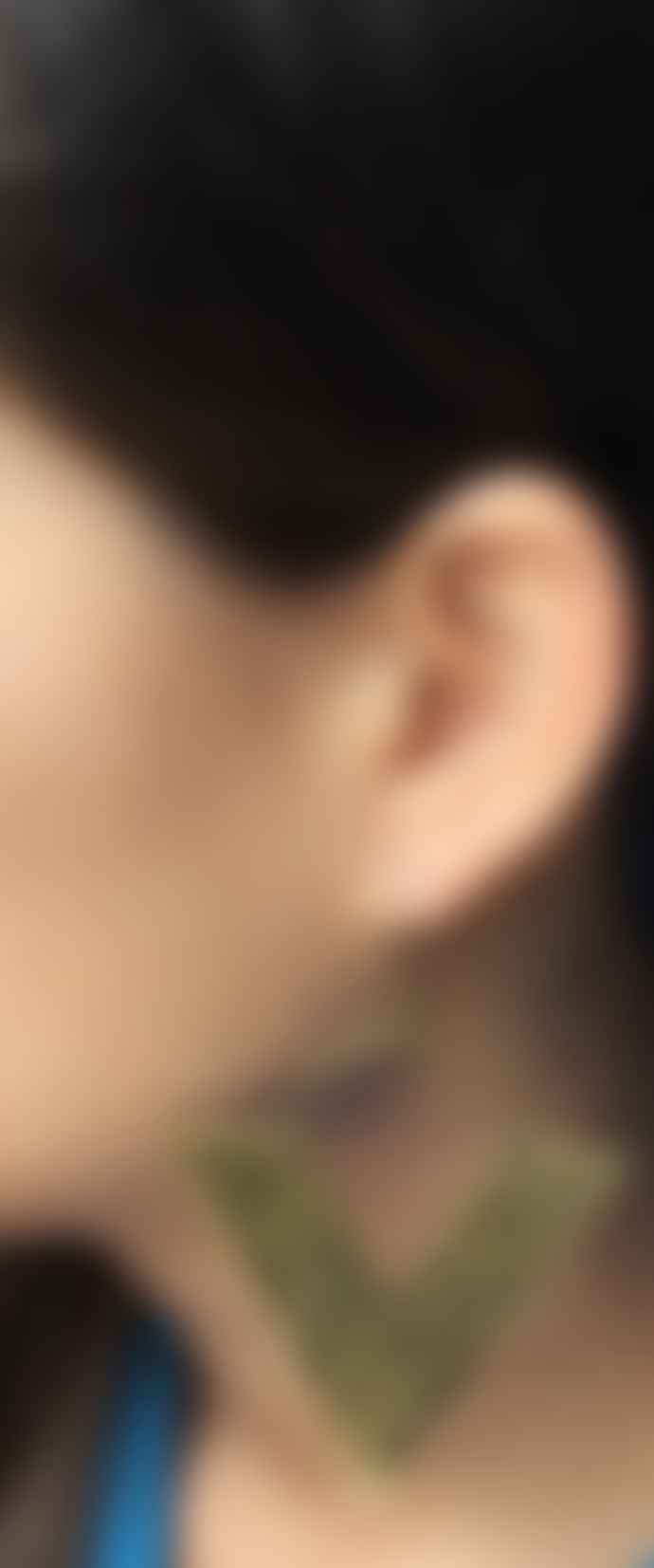 Urbiana Big Triangle Earrings