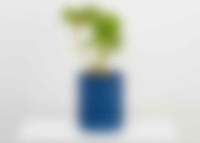 Capra Designs Etch Planter - 4 Colours - Blue, Black. Green, Orange