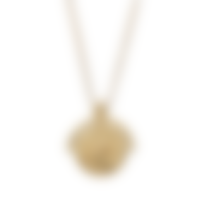 Nordic Muse 18k Gold Plated Zodiac Leo Necklace