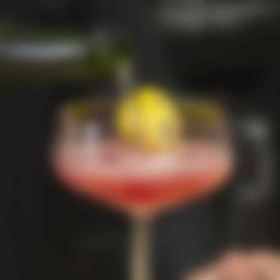 Iittala   Essence Cocktail Bowl