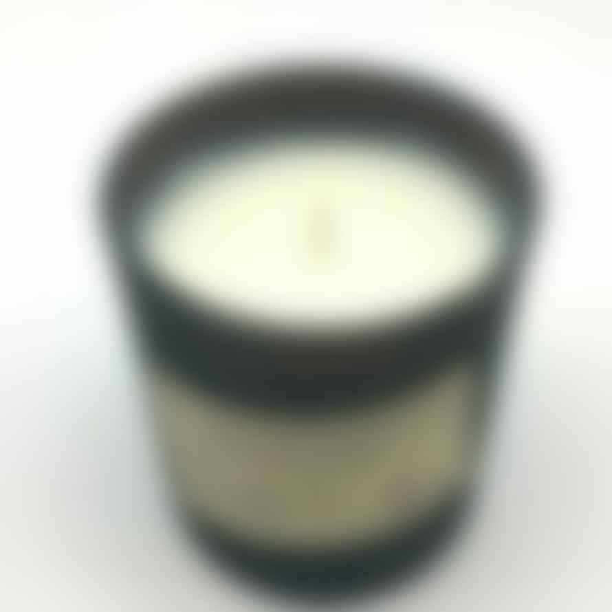 Paddywax Scented Candle Library Collection - Edgar Allan Poe