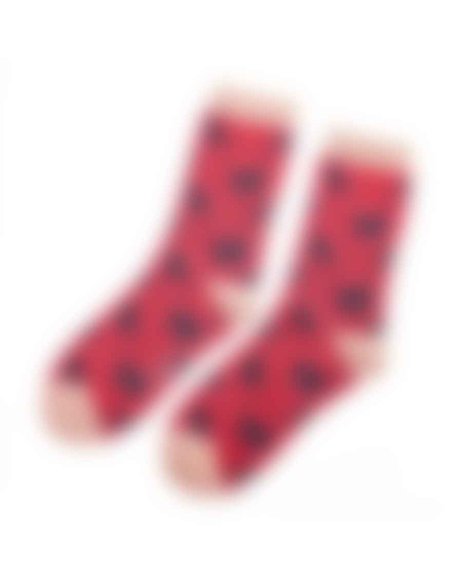Miss Sparrow Hot Pink Sausage Dogs Socks