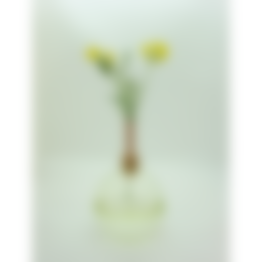 Scandinavia Form Vase Glasilium Green XS