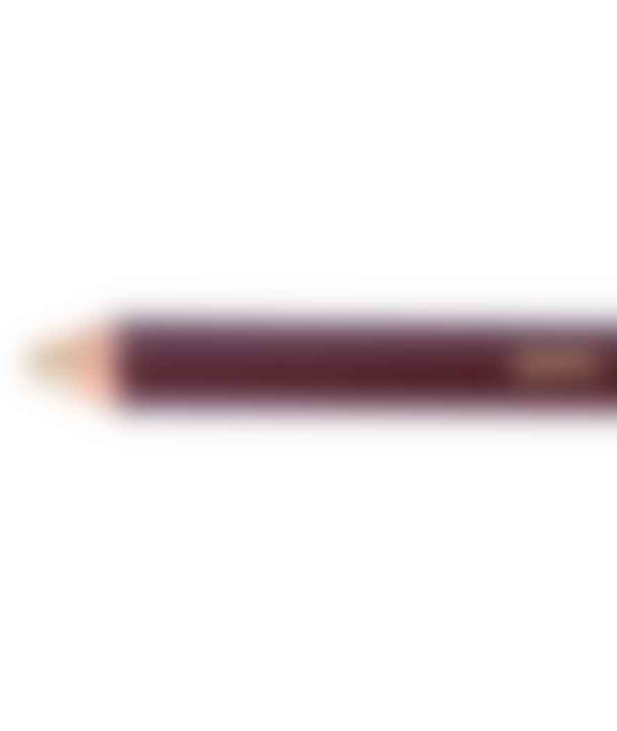 Ohto Burgundy 1.0 Ballpoint Pen