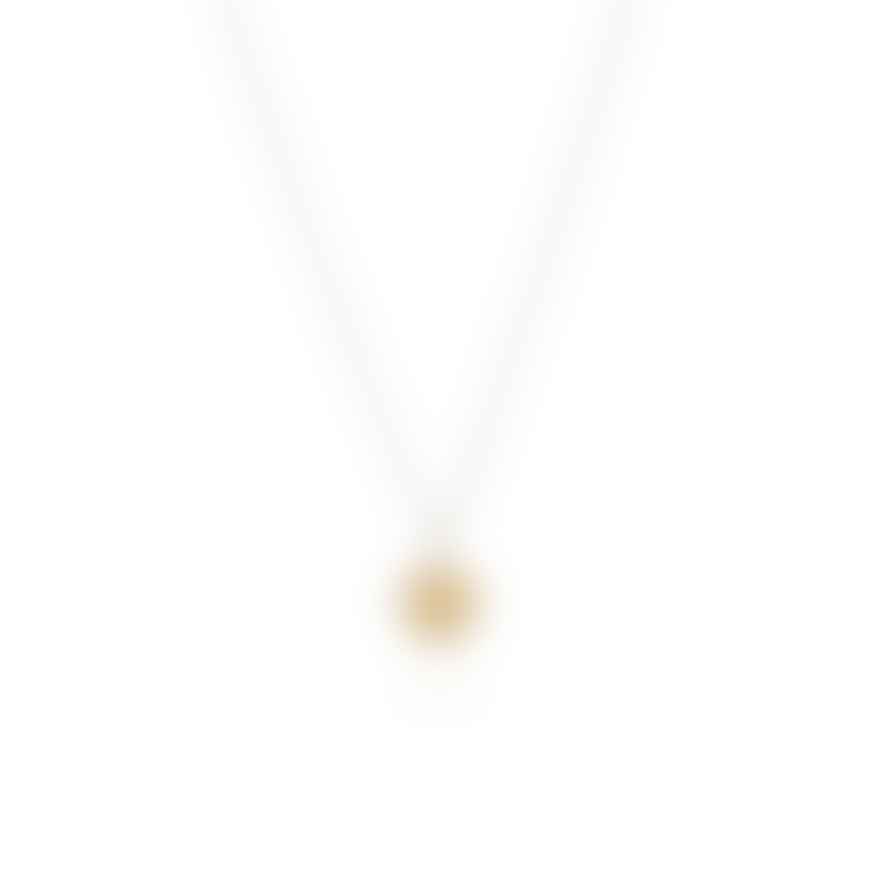 Anna Beck Silver Gold Classic Small Disc Necklace